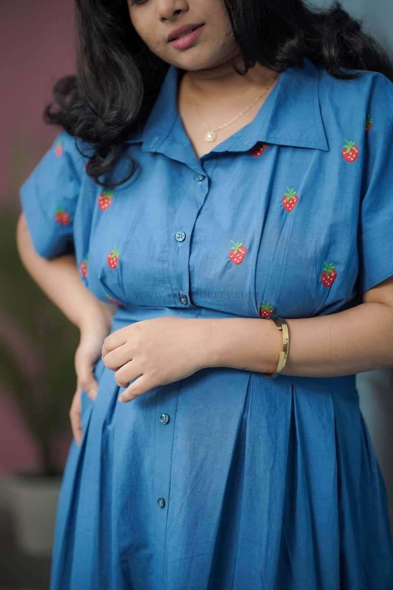 risa embroidered cotton shirt dress