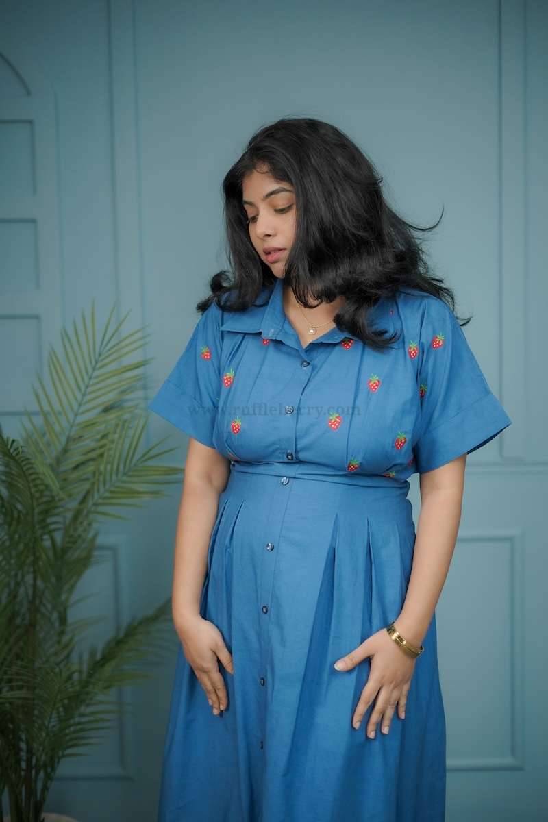 risa embroidered cotton shirt dress